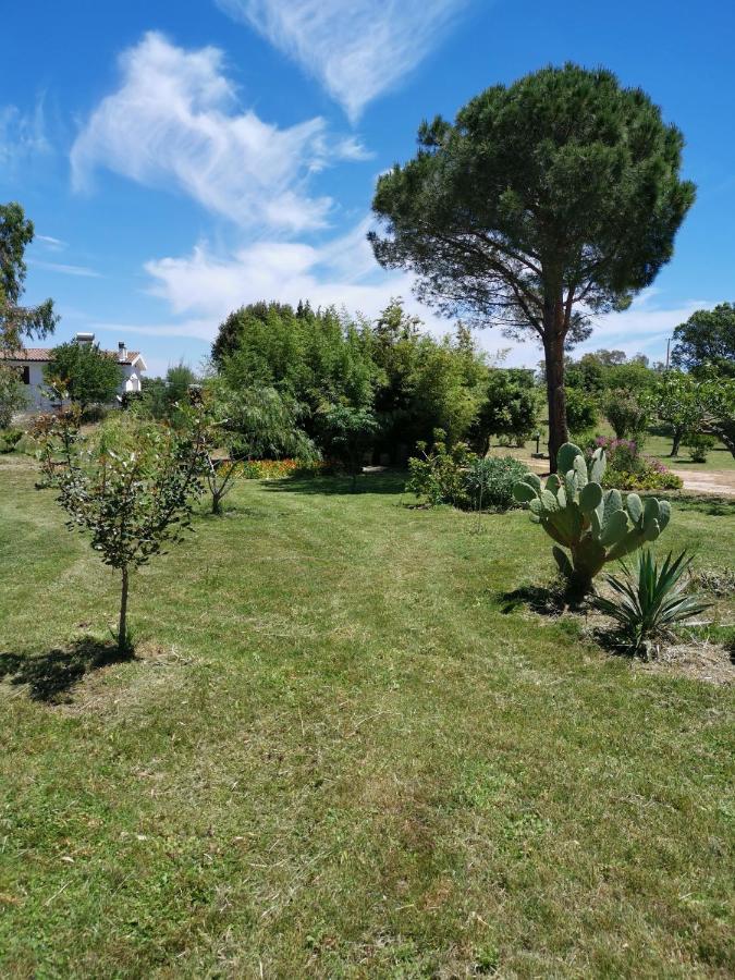 Home Garden Siniscola Buitenkant foto