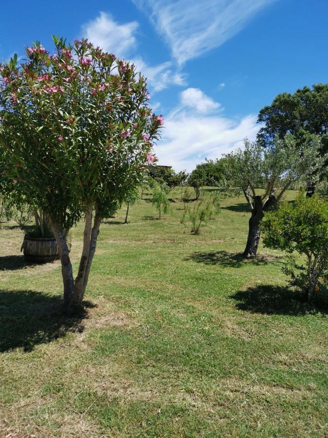 Home Garden Siniscola Buitenkant foto