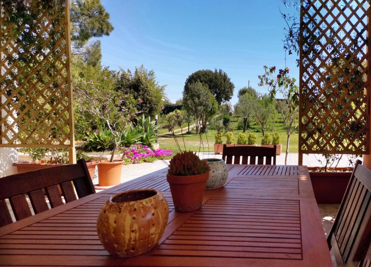 Home Garden Siniscola Buitenkant foto