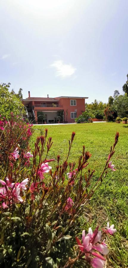 Home Garden Siniscola Buitenkant foto